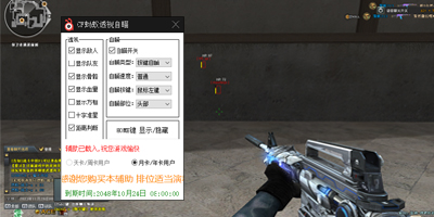 CF蚂蚁单板透视游戏效果截图